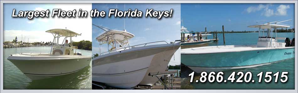 Fl Keys Boat Rentals